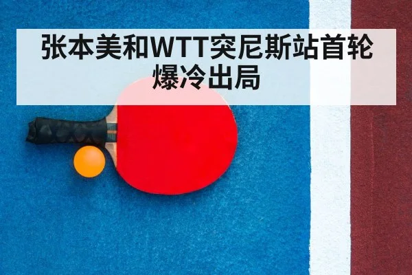 table tennis racket