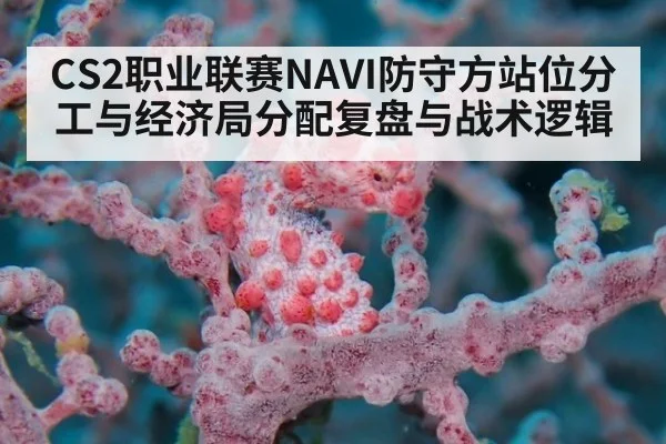 CS2职业联赛NAVI防守方站位分工与经济局分配复盘与战术逻辑 | jnsports